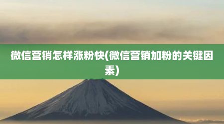 微信营销怎样涨粉快(微信营销加粉的关键因素)