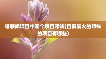 精装修项目中哪个项目赚钱(目前最火的赚钱的项目有哪些)
