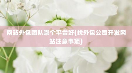 网站外包团队哪个平台好(找外包公司开发网站注意事项)