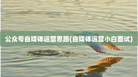 公众号自媒体运营思路(自媒体运营小白面试)