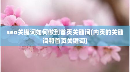 seo关键词如何做到首页关键词(内页的关键词和首页关键词)