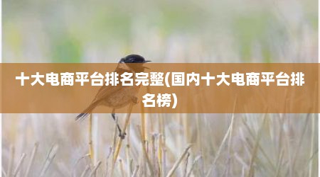 十大电商平台排名完整(国内十大电商平台排名榜)
