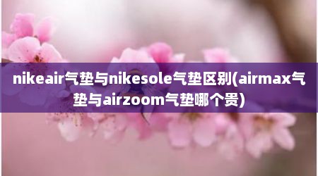 nikeair气垫与nikesole气垫区别(airmax气垫与airzoom气垫哪个贵)
