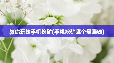 教你玩转手机挖矿(手机挖矿哪个最赚钱)
