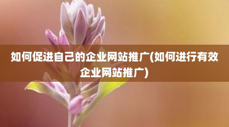 如何促进自己的企业网站推广(如何进行有效企业网站推广)