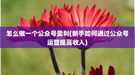 怎么做一个公众号盈利(新手如何通过公众号运营提高收入)