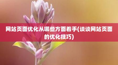 网站页面优化从哪些方面着手(谈谈网站页面的优化技巧)