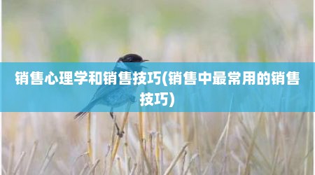 销售心理学和销售技巧(销售中最常用的销售技巧)
