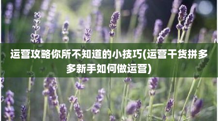 运营攻略你所不知道的小技巧(运营干货拼多多新手如何做运营)