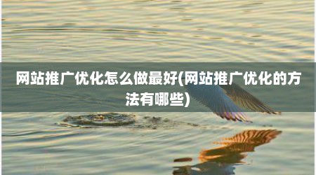 网站推广优化怎么做最好(网站推广优化的方法有哪些)