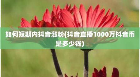 如何短期内抖音涨粉(抖音直播1000万抖音币是多少钱)