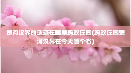 楚河汉界的遗迹在哪里蚂蚁庄园(蚂蚁庄园楚河汉界在今天哪个省)