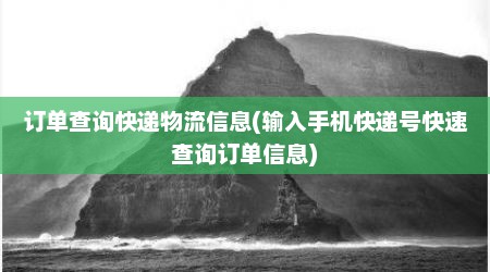 订单查询快递物流信息(输入手机快递号快速查询订单信息)