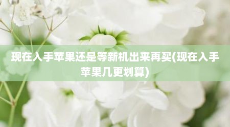 现在入手苹果还是等新机出来再买(现在入手苹果几更划算)