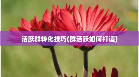 活跃群转化技巧(群活跃如何打造)