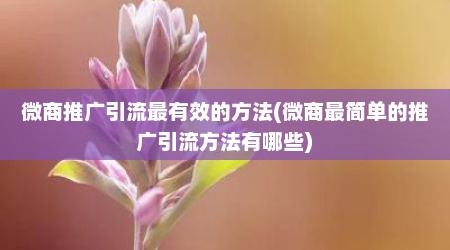 微商推广引流最有效的方法(微商最简单的推广引流方法有哪些)