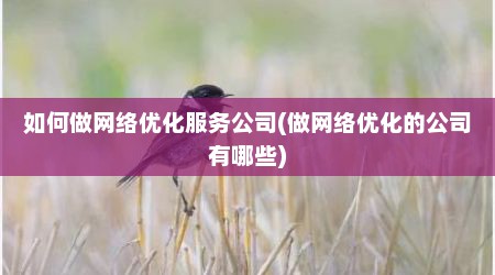 如何做网络优化服务公司(做网络优化的公司有哪些)