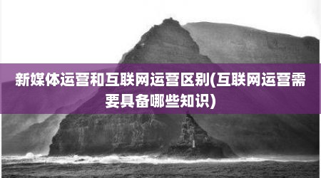 新媒体运营和互联网运营区别(互联网运营需要具备哪些知识)