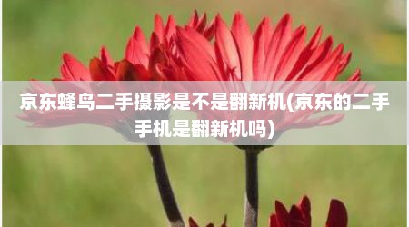 京东蜂鸟二手摄影是不是翻新机(京东的二手手机是翻新机吗)