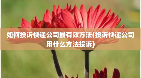 如何投诉快递公司最有效方法(投诉快递公司用什么方法投诉)