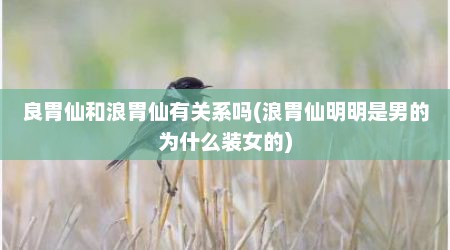 良胃仙和浪胃仙有关系吗(浪胃仙明明是男的为什么装女的)