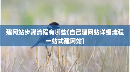 建网站步骤流程有哪些(自己建网站详细流程一站式建网站)