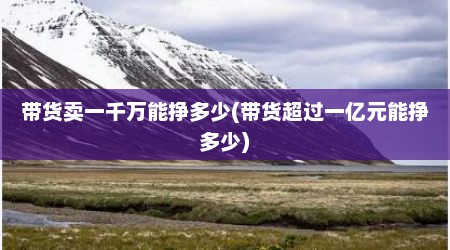 带货卖一千万能挣多少(带货超过一亿元能挣多少)