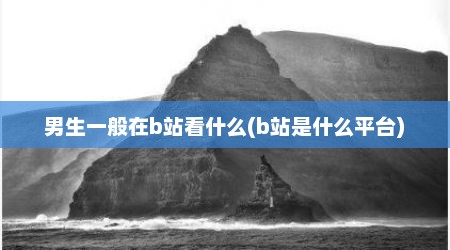 男生一般在b站看什么(b站是什么平台)