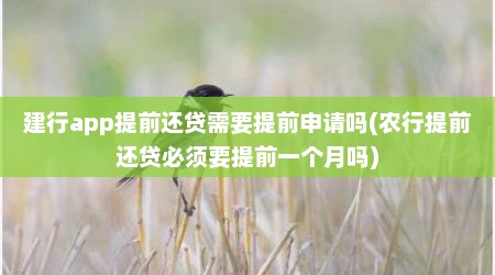 建行app提前还贷需要提前申请吗(农行提前还贷必须要提前一个月吗)