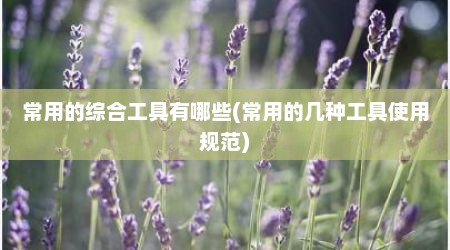 常用的综合工具有哪些(常用的几种工具使用规范)