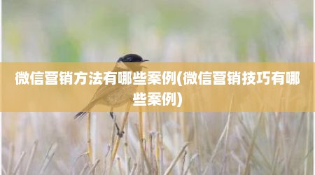 微信营销方法有哪些案例(微信营销技巧有哪些案例)