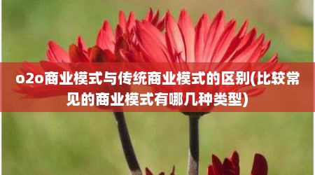 o2o商业模式与传统商业模式的区别(比较常见的商业模式有哪几种类型)