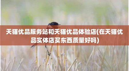 天猫优品服务站和天猫优品体验店(在天猫优品实体店买东西质量好吗)