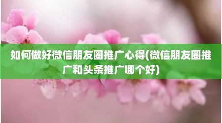 如何做好微信朋友圈推广心得(微信朋友圈推广和头条推广哪个好)