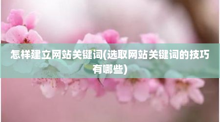 怎样建立网站关键词(选取网站关键词的技巧有哪些)