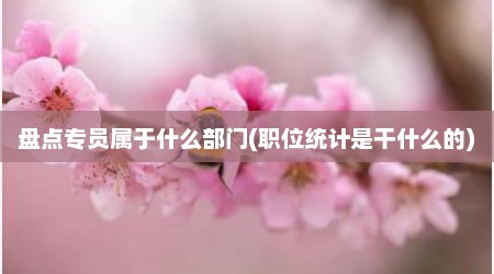 盘点专员属于什么部门(职位统计是干什么的)