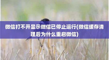 微信打不开显示微信已停止运行(微信缓存清理后为什么重启微信)