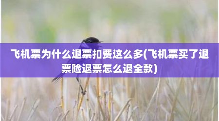 飞机票为什么退票扣费这么多(飞机票买了退票险退票怎么退全款)