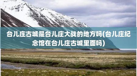 台儿庄古城是台儿庄大战的地方吗(台儿庄纪念馆在台儿庄古城里面吗)