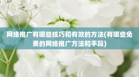 网络推广有哪些技巧和有效的方法(有哪些免费的网络推广方法和手段)