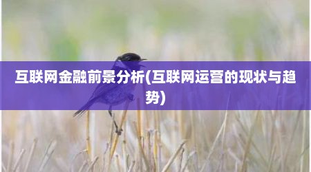互联网金融前景分析(互联网运营的现状与趋势)