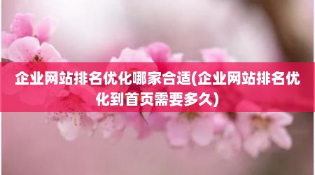 企业网站排名优化哪家合适(企业网站排名优化到首页需要多久)