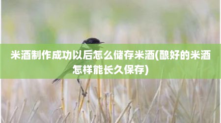 米酒制作成功以后怎么储存米酒(酿好的米酒怎样能长久保存)