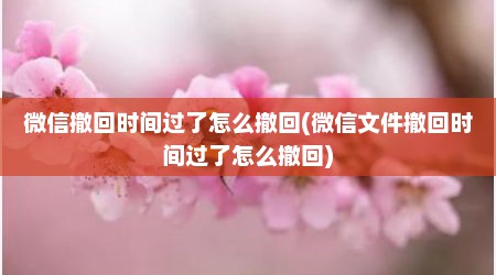 微信撤回时间过了怎么撤回(微信文件撤回时间过了怎么撤回)