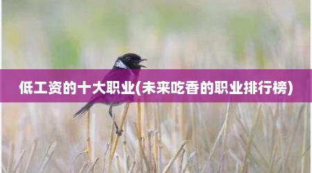 低工资的十大职业(未来吃香的职业排行榜)