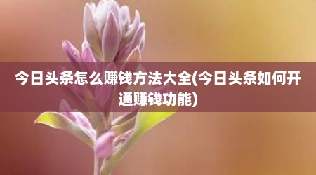 今日头条怎么赚钱方法大全(今日头条如何开通赚钱功能)