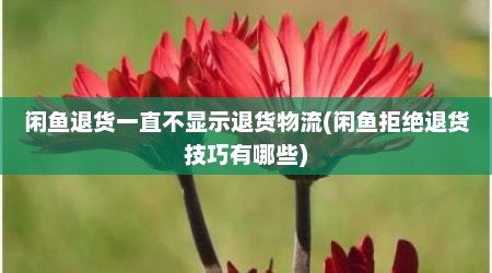 闲鱼退货一直不显示退货物流(闲鱼拒绝退货技巧有哪些)