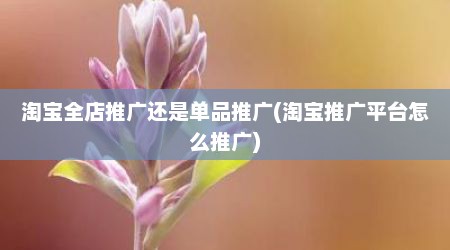 淘宝全店推广还是单品推广(淘宝推广平台怎么推广)