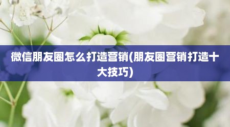 微信朋友圈怎么打造营销(朋友圈营销打造十大技巧)