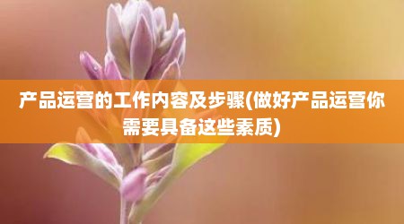 产品运营的工作内容及步骤(做好产品运营你需要具备这些素质)